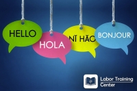 Como afecta la formación de idiomas en la inteligencia